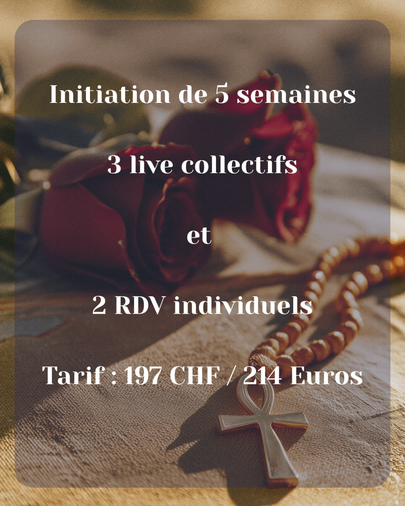 Accompagnement Oser Se Montrer 
Incarner la complémentarité